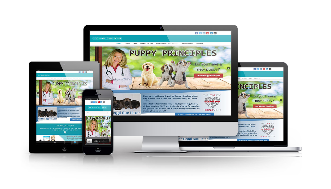 Website Design