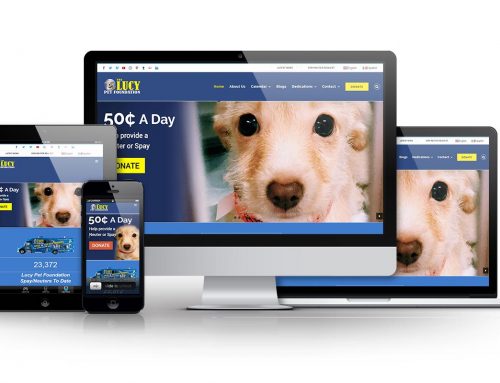 Lucy Pet Foundation